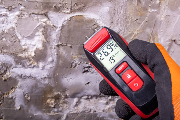 Best Toxic Mold Removal  in Oakfield, WI