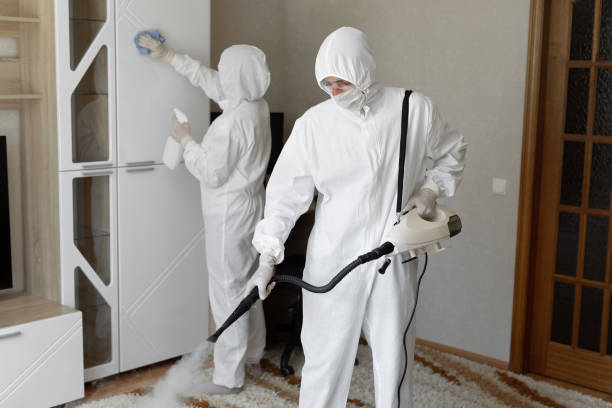 Best Mold Removal Process  in Oakfield, WI