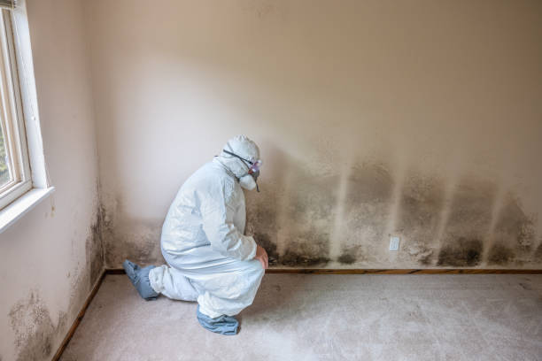 Best Emergency Mold Removal  in Oakfield, WI