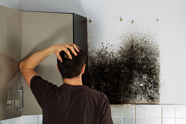 Best Local Mold Removal Service  in Oakfield, WI